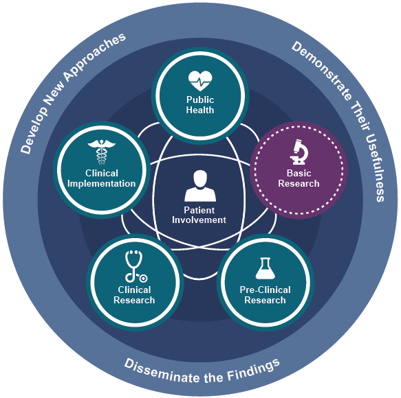 Demonstrate value<br> of Platforms