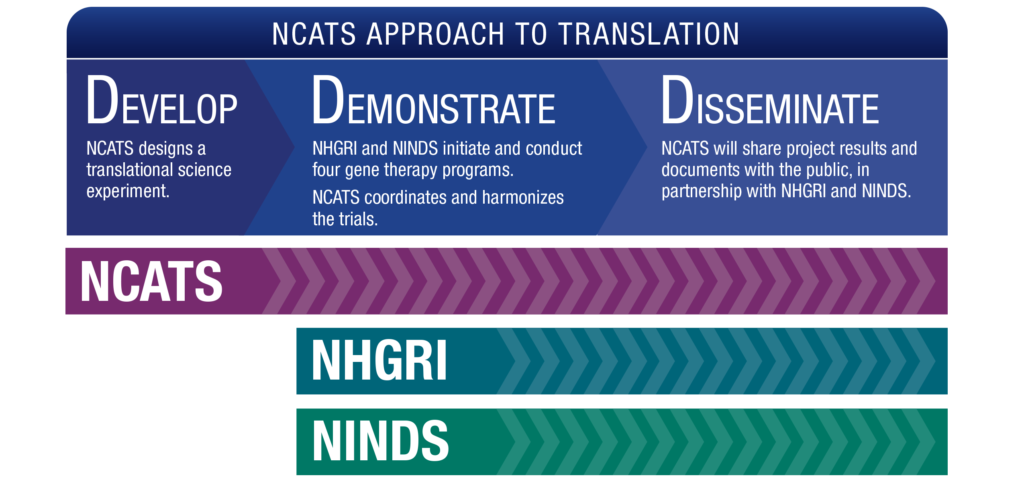 NCATS Approach to Translation: Develop, Demonstrate, Disseminate. Develop: NCATS designs a translational science experiment. Demonstrate: NHGRI and NINDS initiate and conduct four gene therapy programs. NCATS coordinates and harmonizes the trials. Disseminate: NCATS will publish all communications with the FDA, in partnership with NHGRI and NINDS.